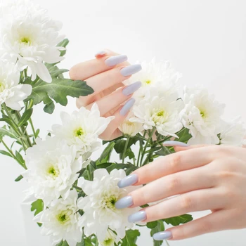 female hands with beautiful manicure and chrysanthemum flowers